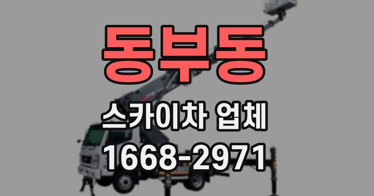 동부동 스카이차 업체