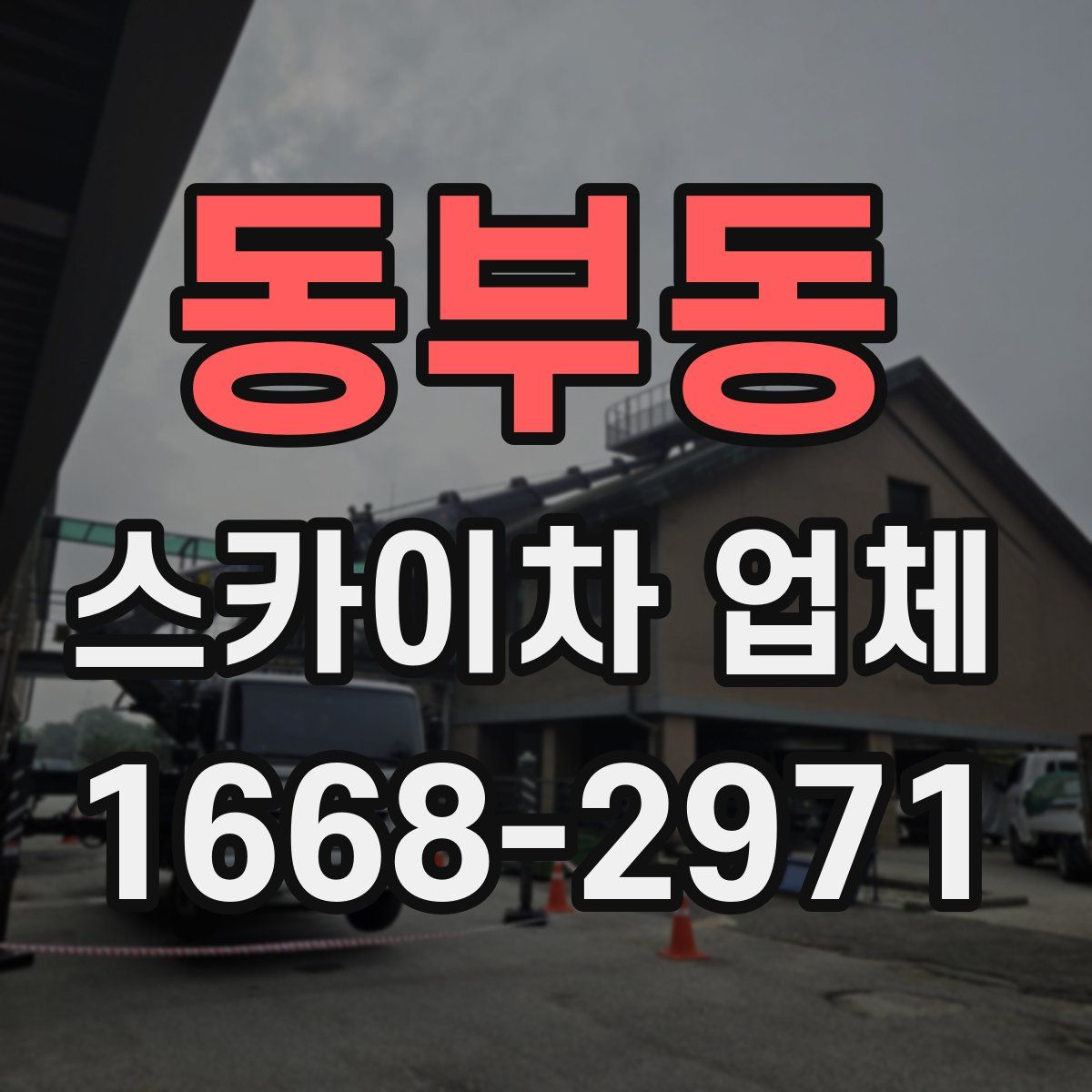 동부동 스카이차 업체