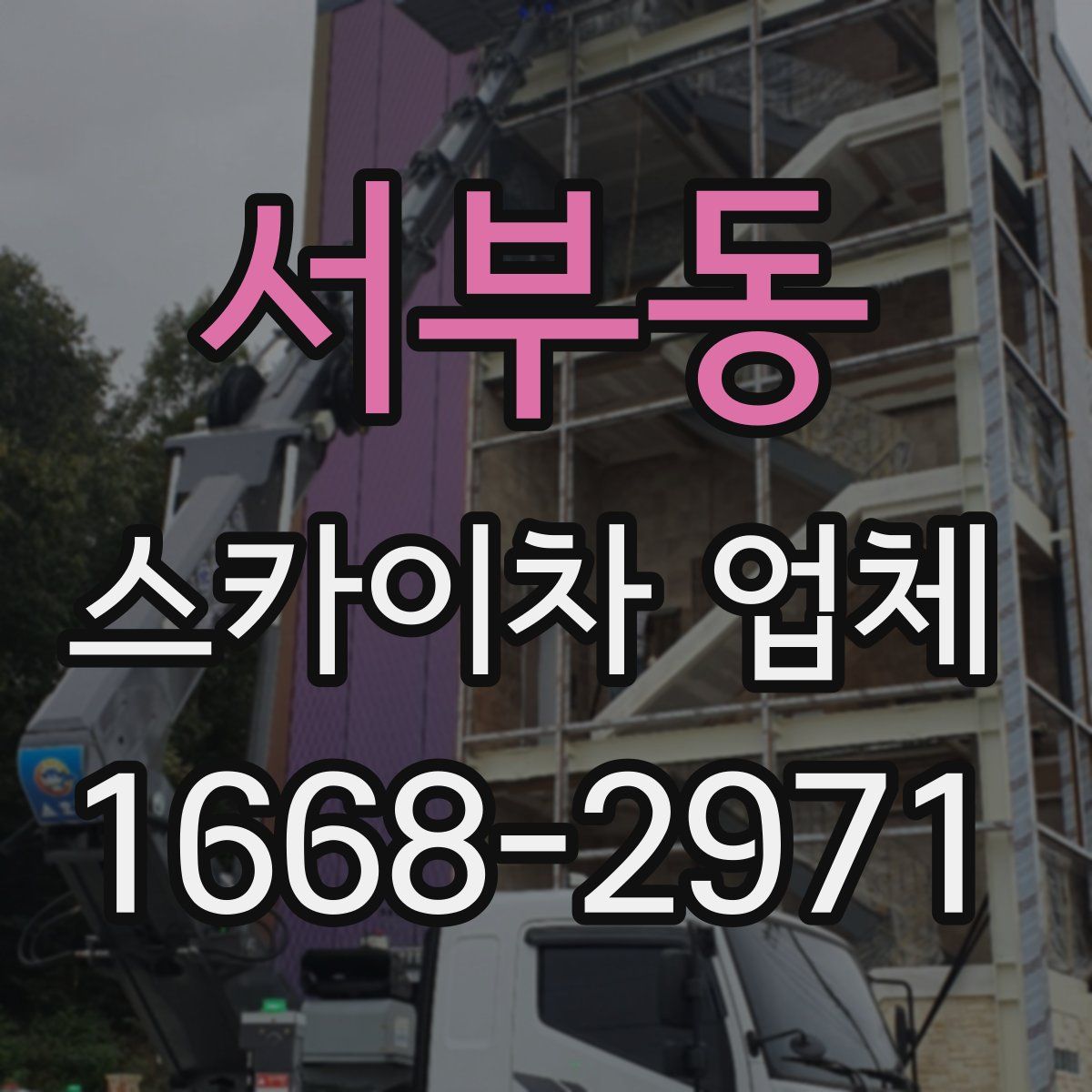 서부동 스카이차 업체