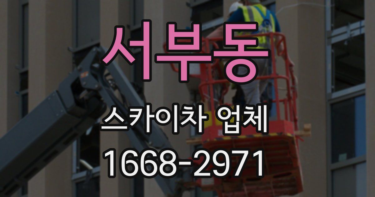 서부동 스카이차 업체