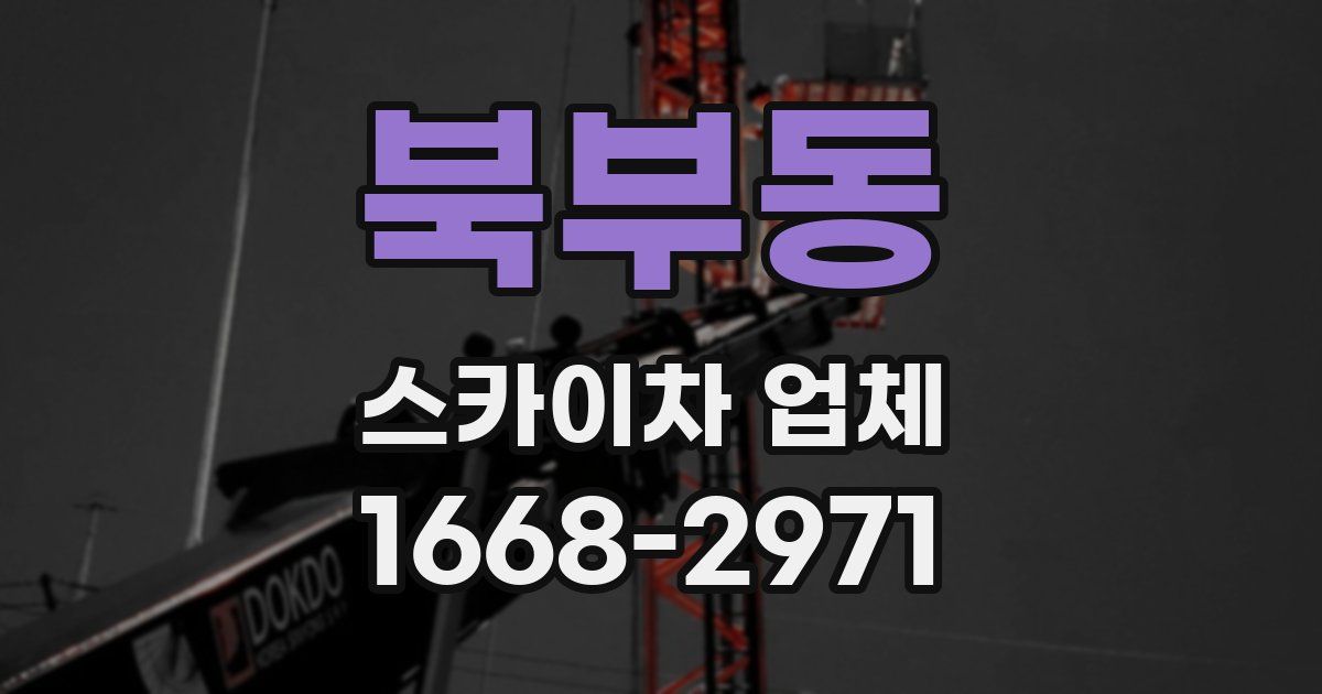 북부동 스카이차 업체