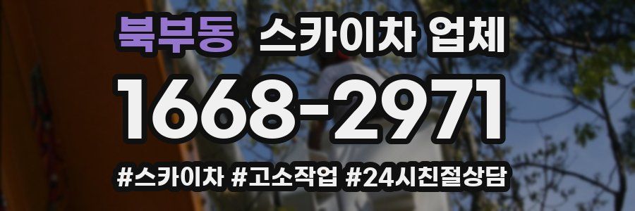 북부동 스카이차 업체