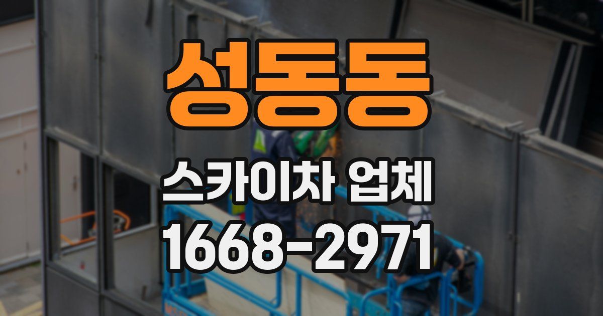 성동동 스카이차 업체