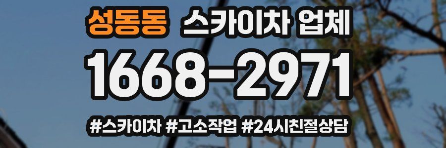 성동동 스카이차 업체