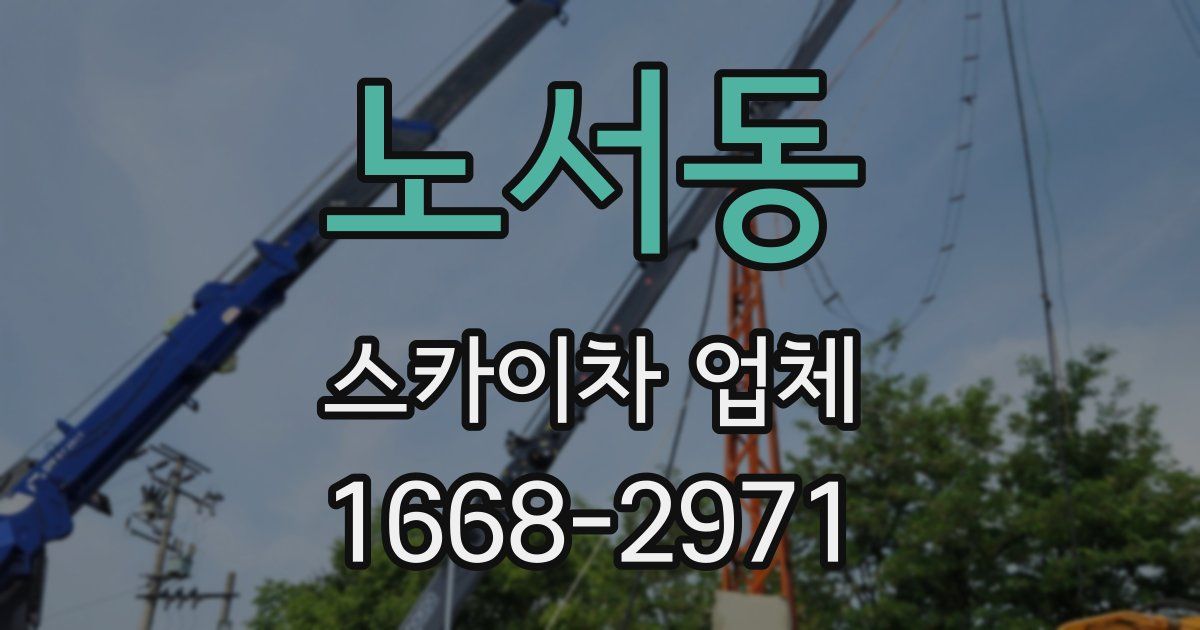 노서동 스카이차 업체