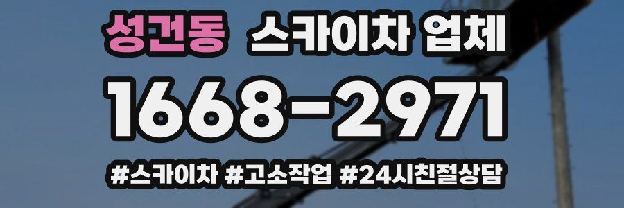 성건동 스카이차 업체