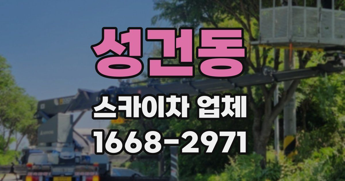 성건동 스카이차 업체