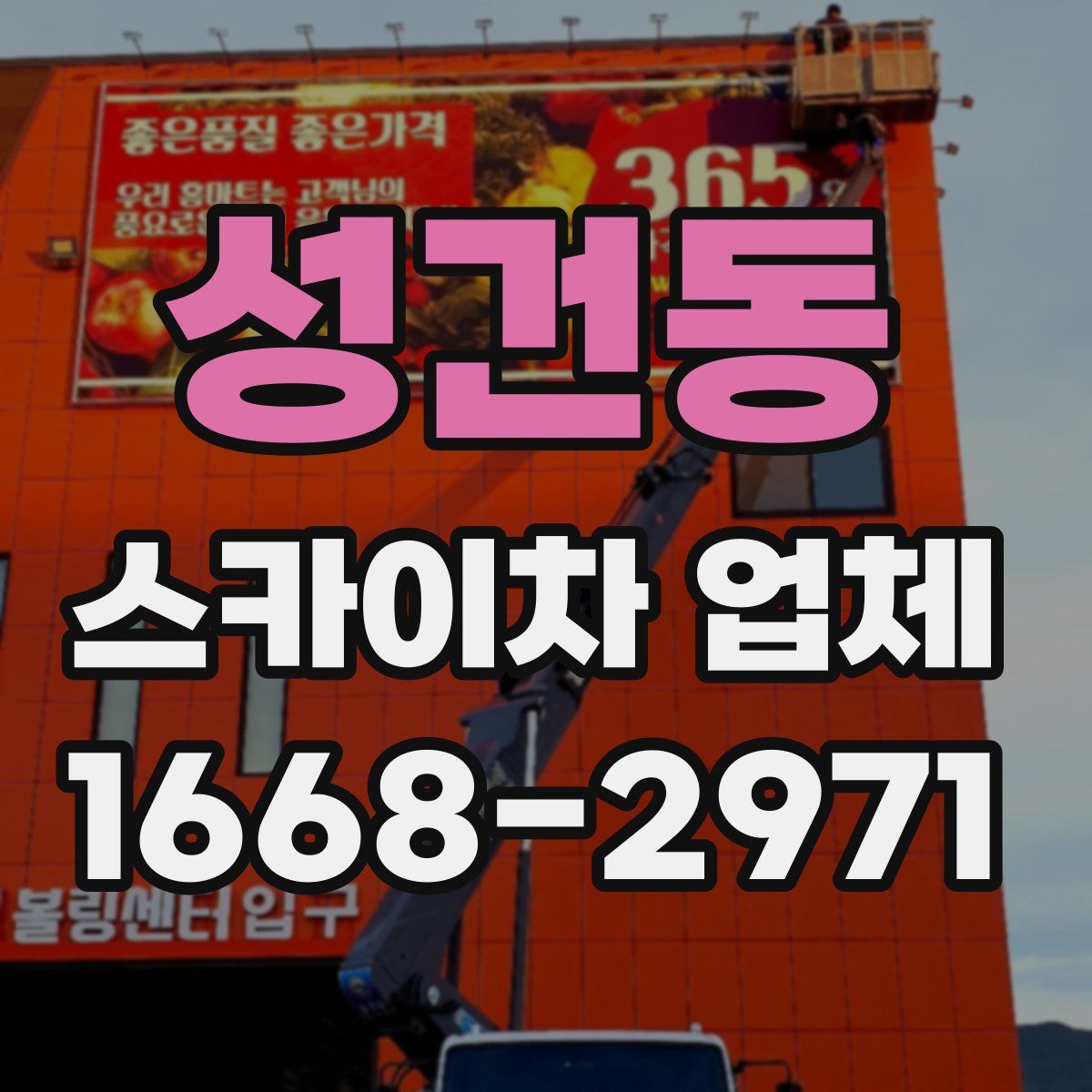 성건동 스카이차 업체