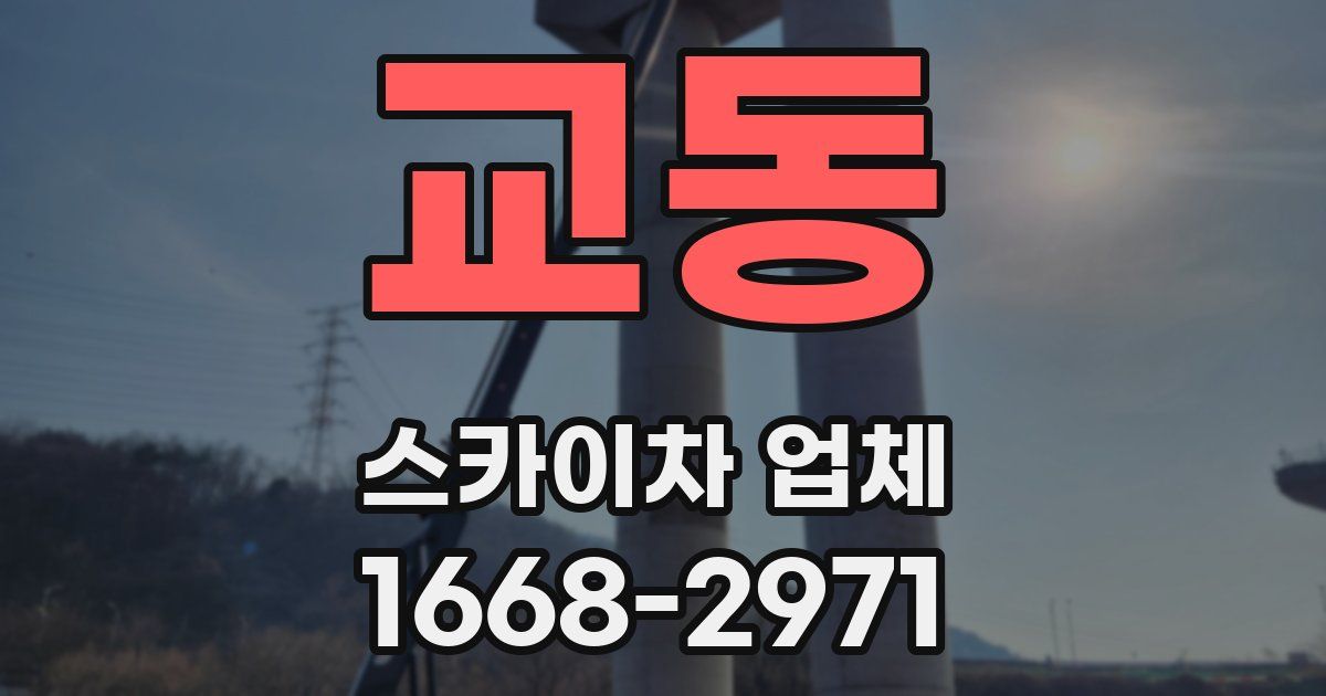 교동 스카이차 업체