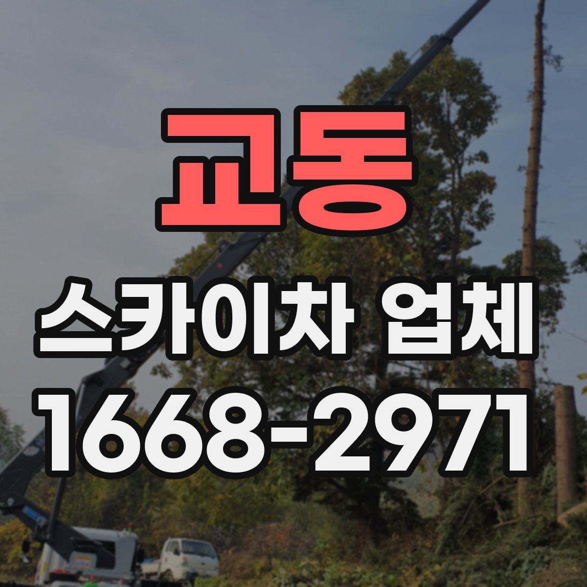 교동 스카이차 업체
