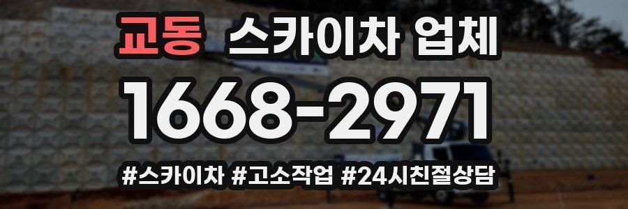 교동 스카이차 업체