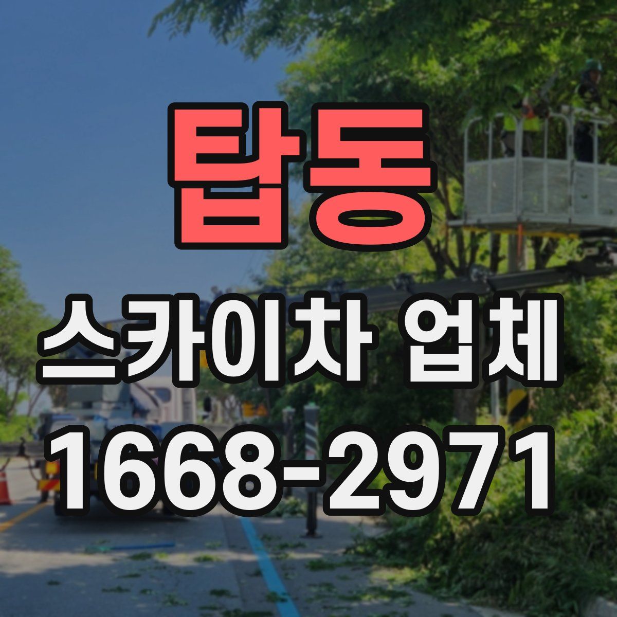 탑동 스카이차 업체
