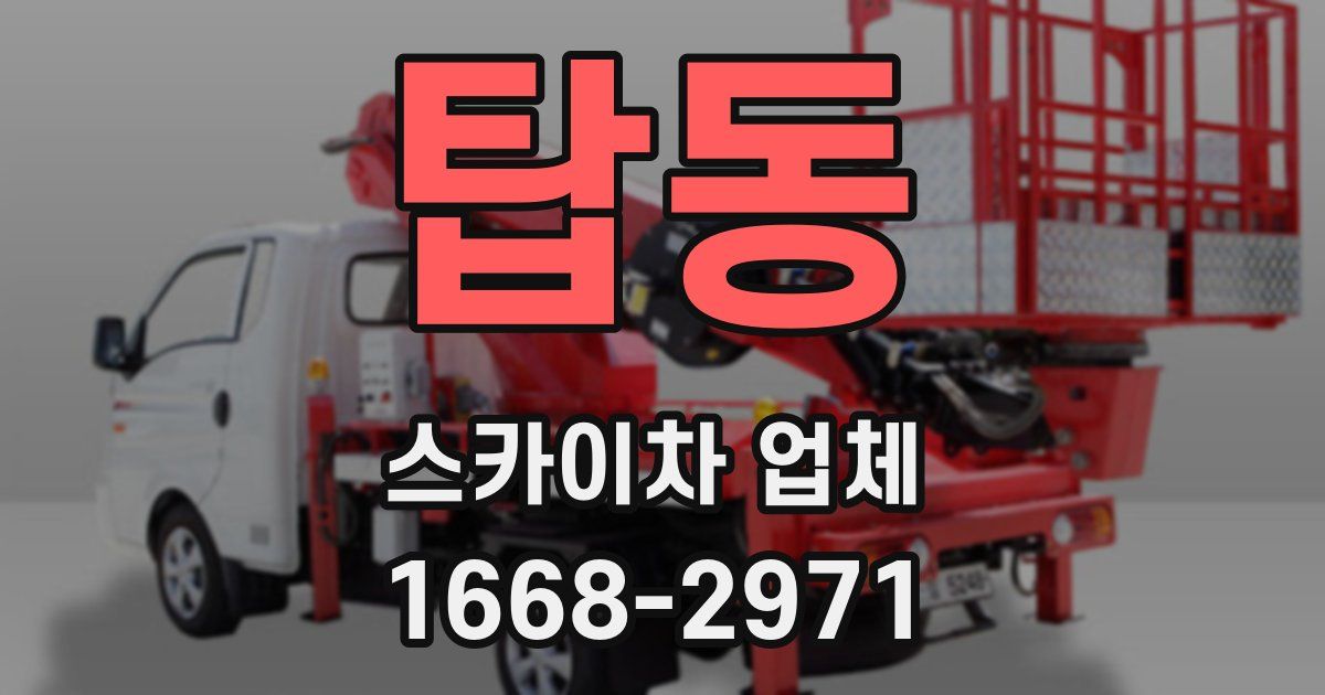 탑동 스카이차 업체