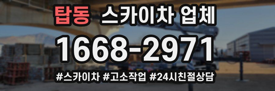 탑동 스카이차 업체