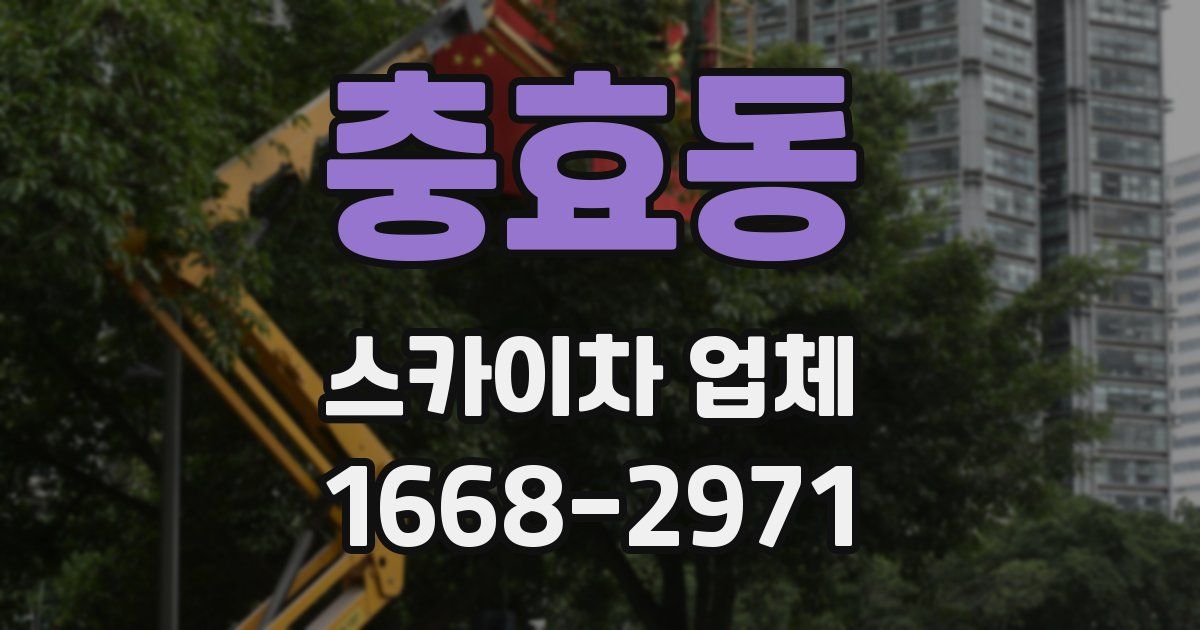 충효동 스카이차 업체