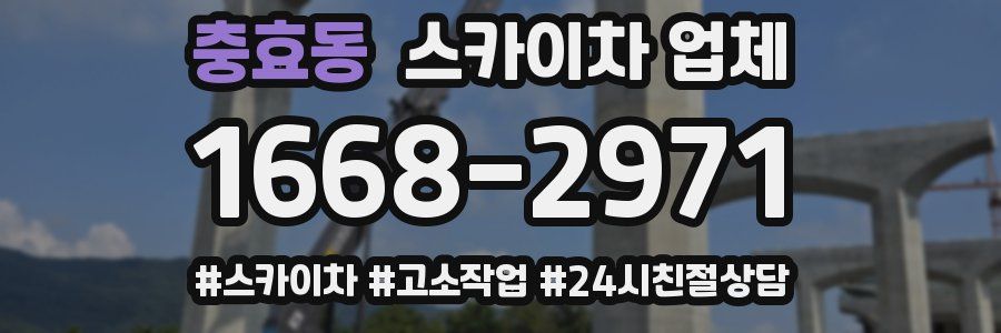 충효동 스카이차 업체