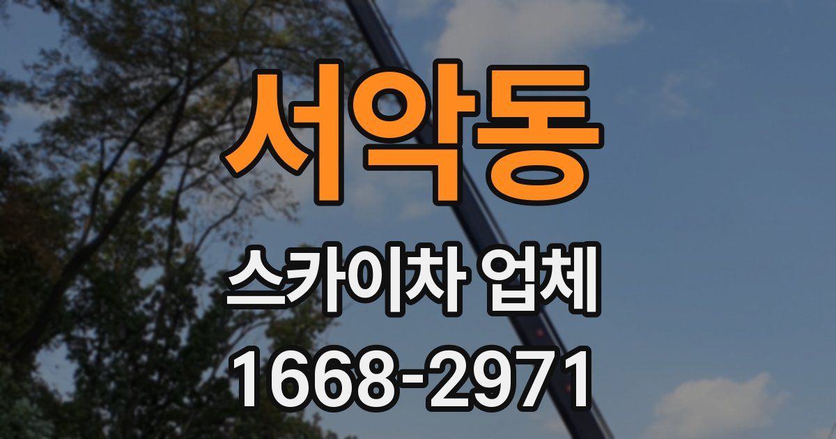 서악동 스카이차 업체