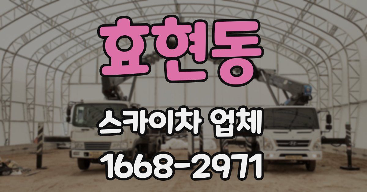 효현동 스카이차 업체