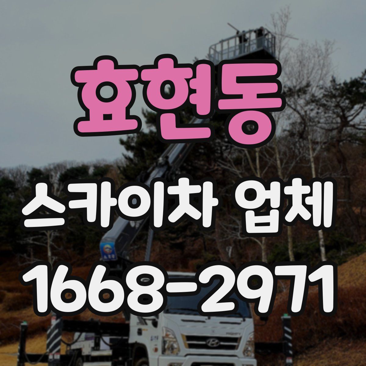 효현동 스카이차 업체