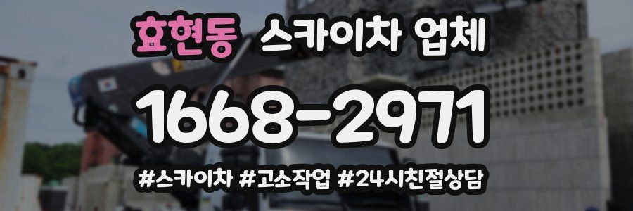 효현동 스카이차 업체