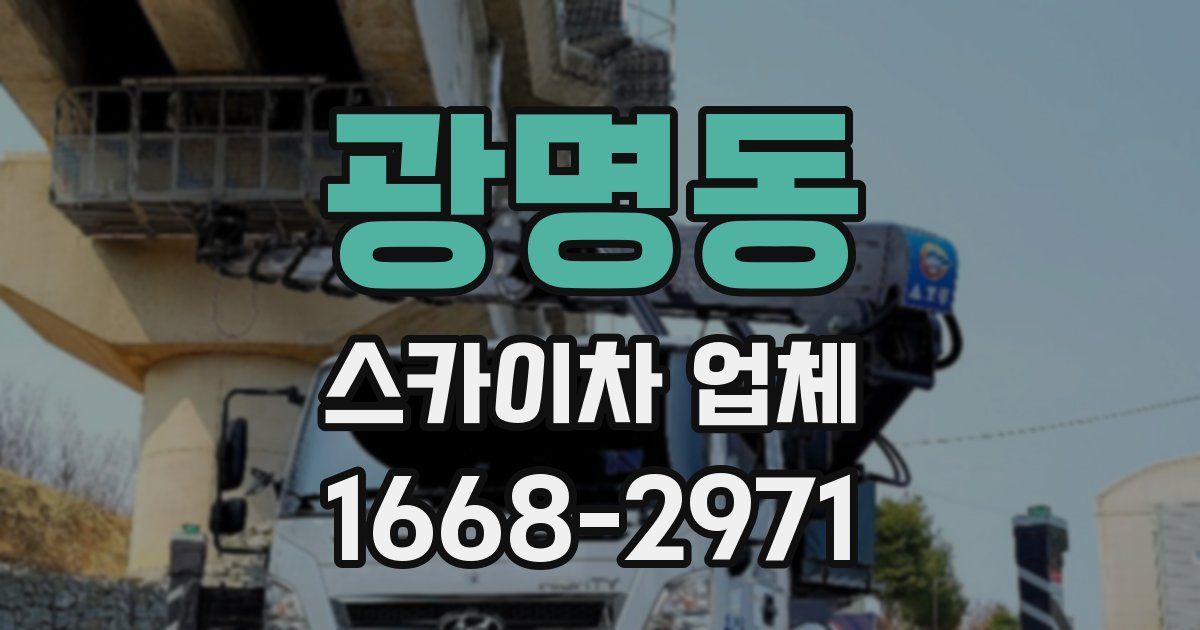 광명동 스카이차 업체