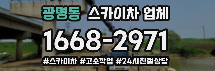 광명동 스카이차 업체