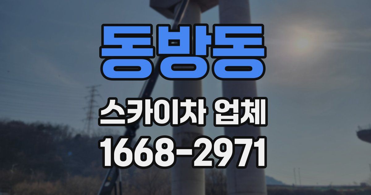 동방동 스카이차 업체