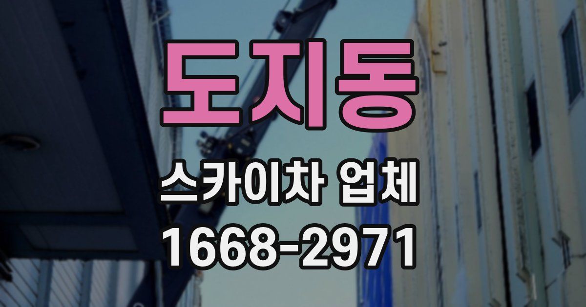 도지동 스카이차 업체