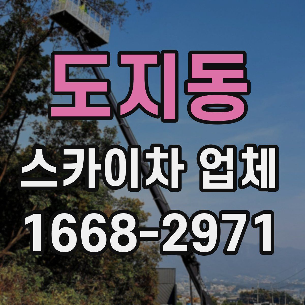 도지동 스카이차 업체