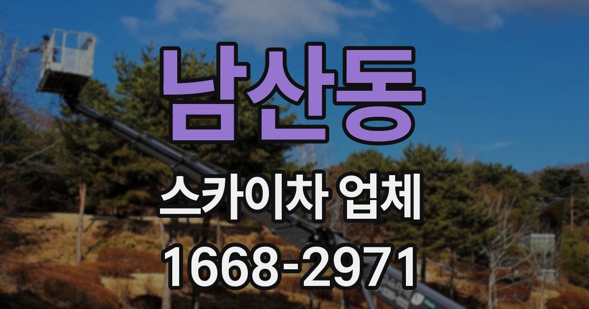 남산동 스카이차 업체