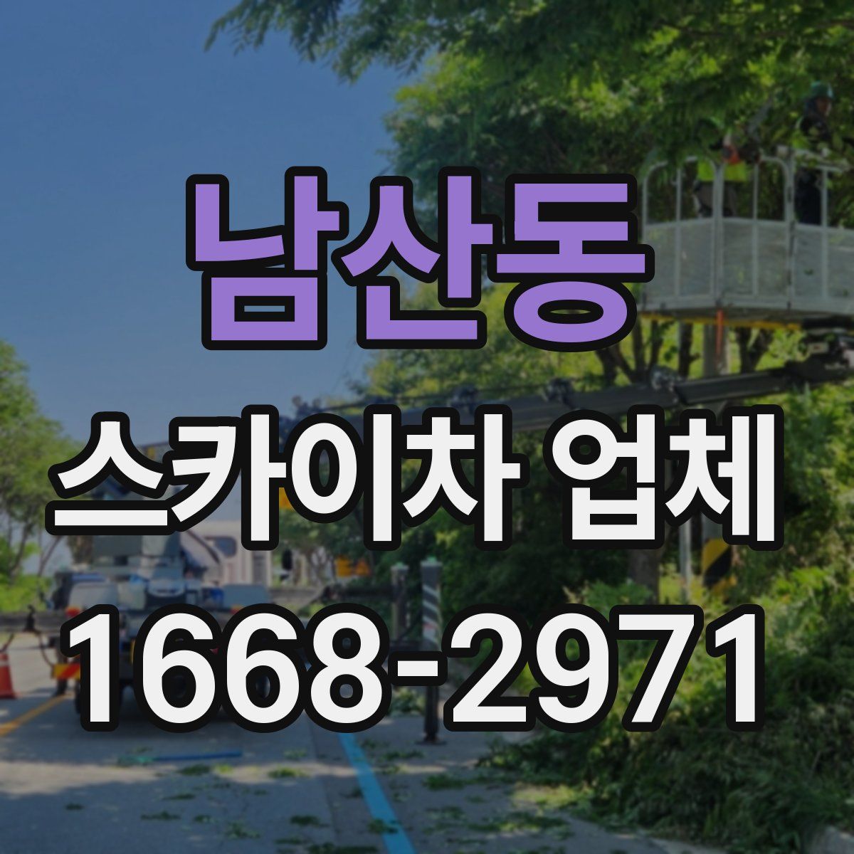 남산동 스카이차 업체