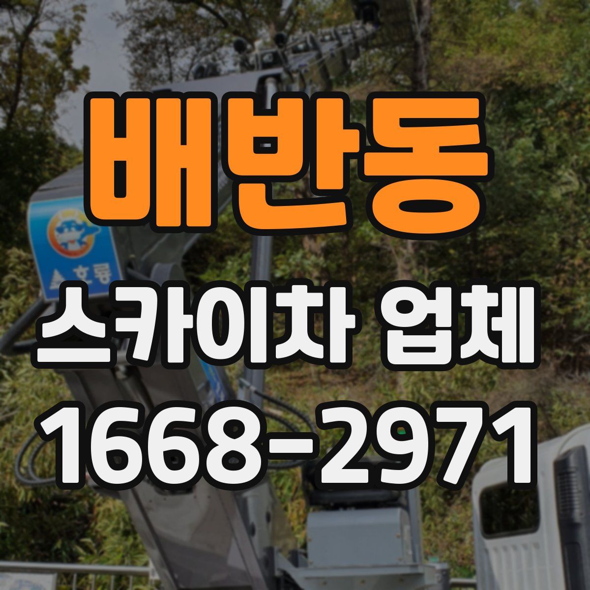 배반동 스카이차 업체