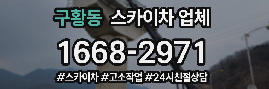 구황동 스카이차 업체