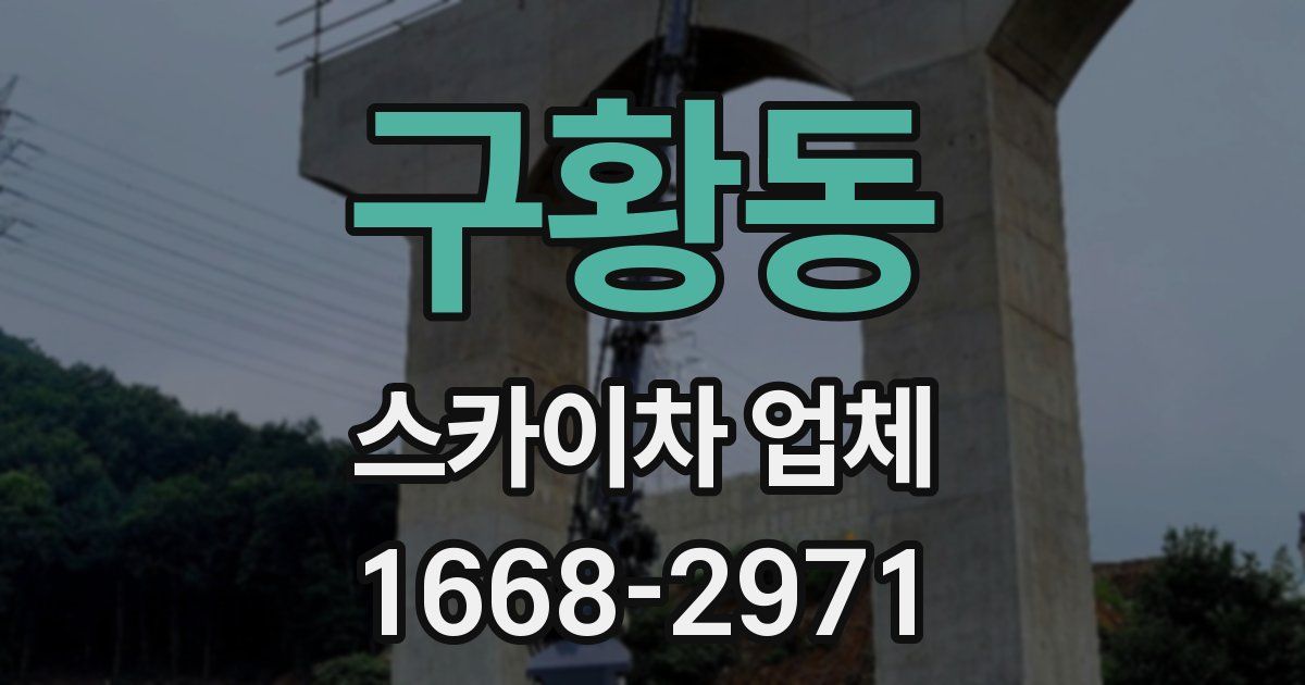 구황동 스카이차 업체