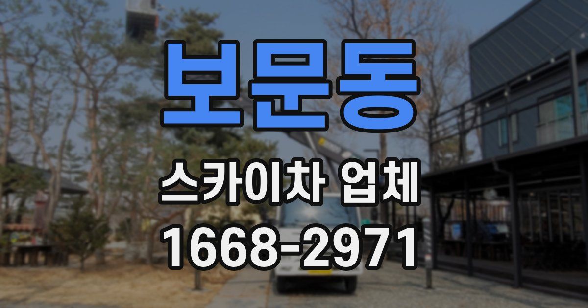 보문동 스카이차 업체