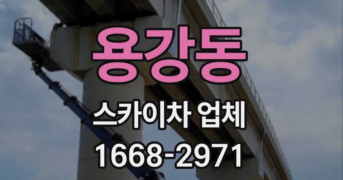 용강동 스카이차 업체