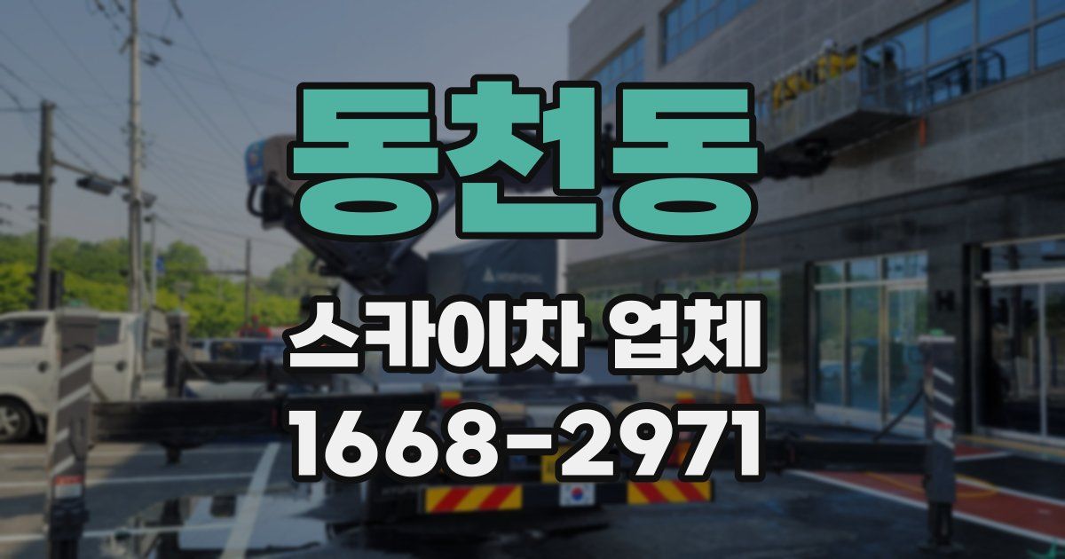 동천동 스카이차 업체