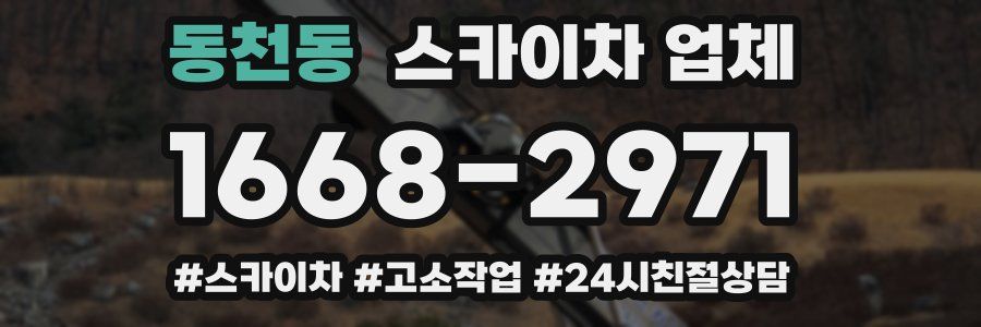 동천동 스카이차 업체