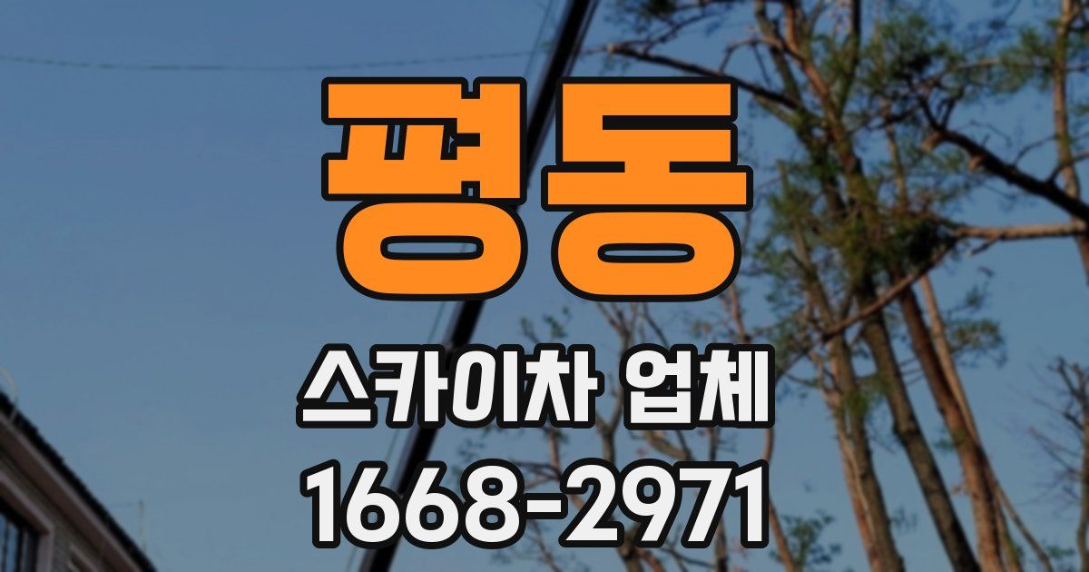 평동 스카이차 업체