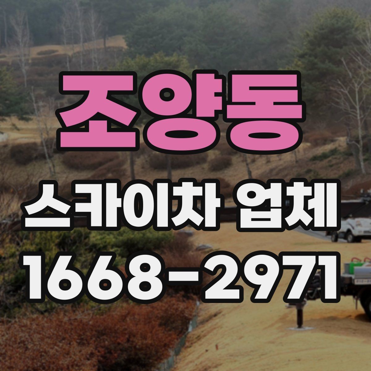 조양동 스카이차 업체 선택과정에서 놓치면 안 되는 부분