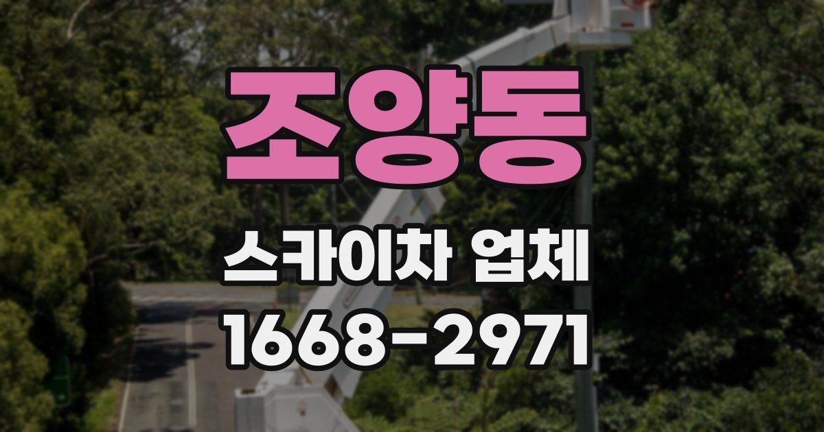 조양동 스카이차 업체