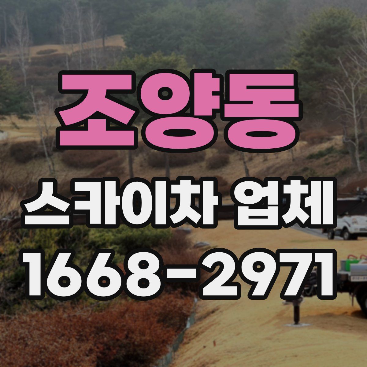 조양동 스카이차 업체
