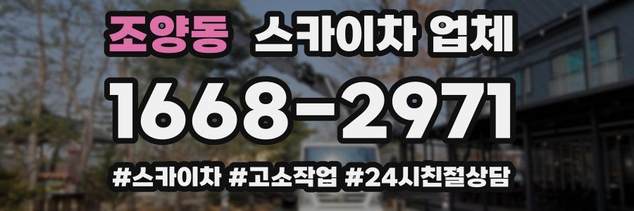 조양동 스카이차 업체