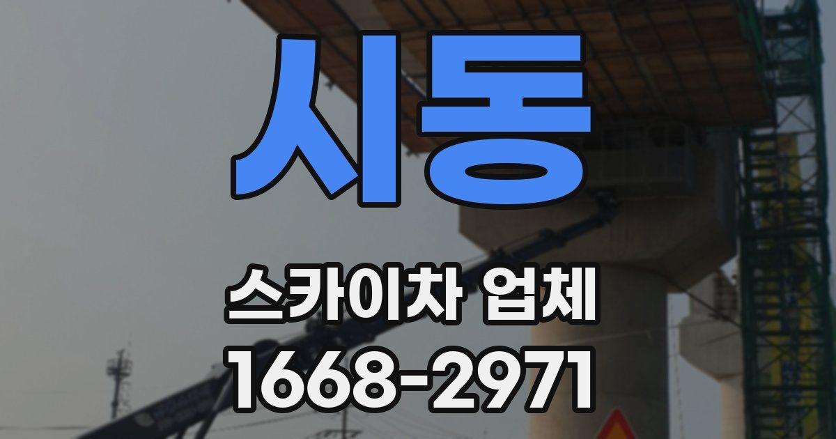 시동 스카이차 업체