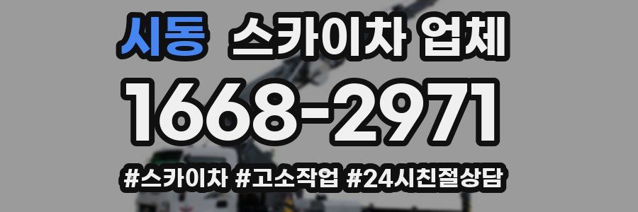 시동 스카이차 업체