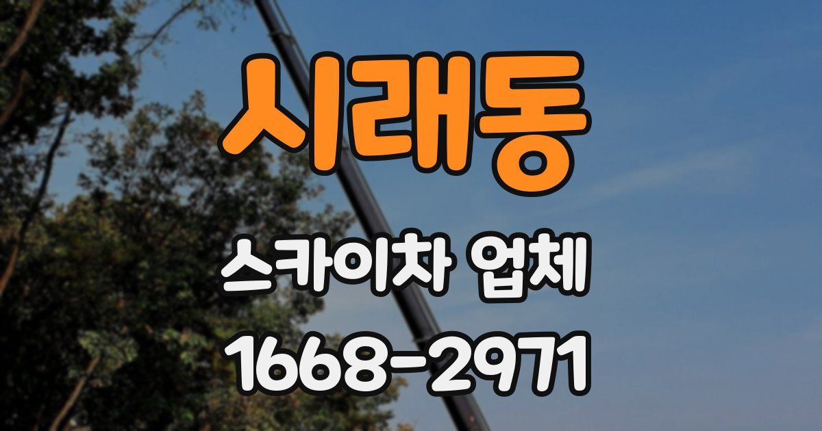 시래동 스카이차 업체