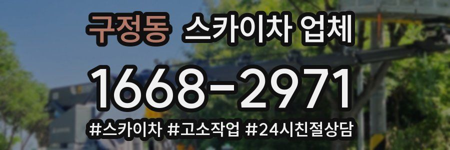 구정동 스카이차 업체