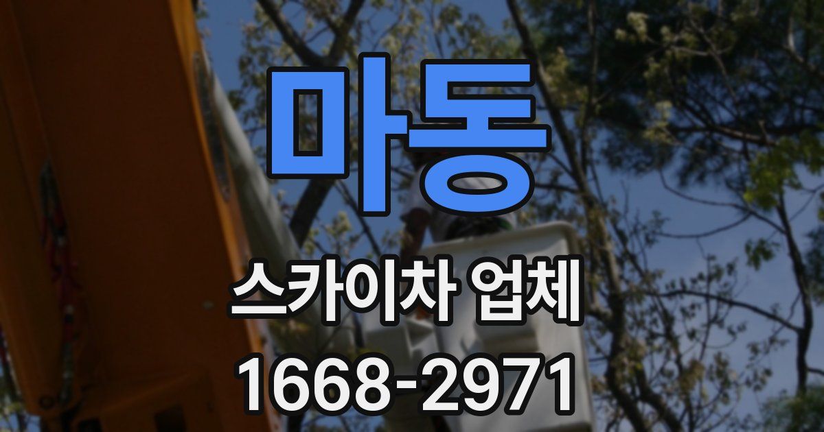 마동 스카이차 업체