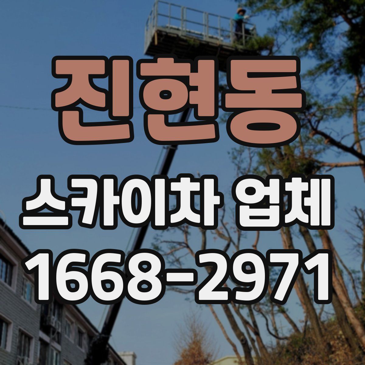 진현동 스카이차 업체