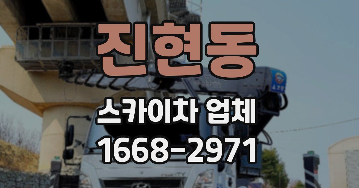 진현동 스카이차 업체